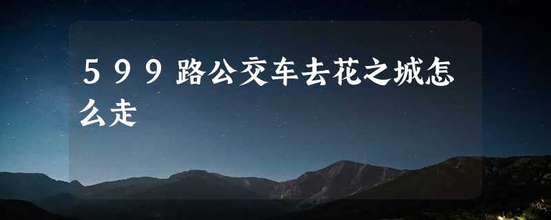 599路公交车去花之城怎么走