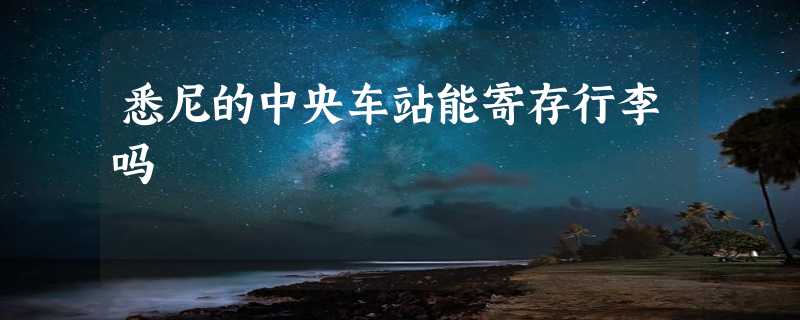 悉尼的中央车站能寄存行李吗