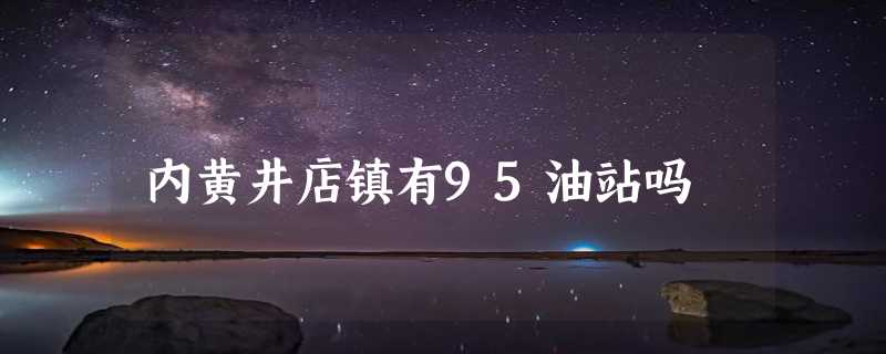 内黄井店镇有95油站吗
