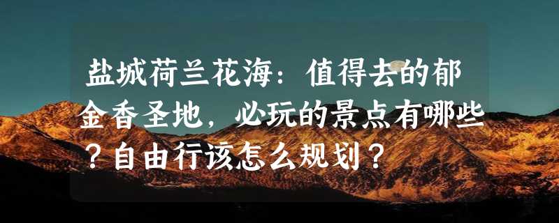 盐城荷兰花海：值得去的郁金香圣地，必玩的景点有哪些？自由行该怎么规划？