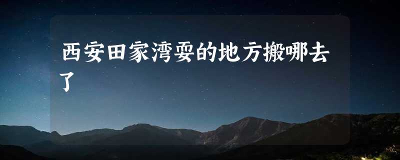 西安田家湾耍的地方搬哪去了