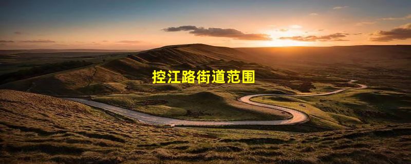 控江路街道范围