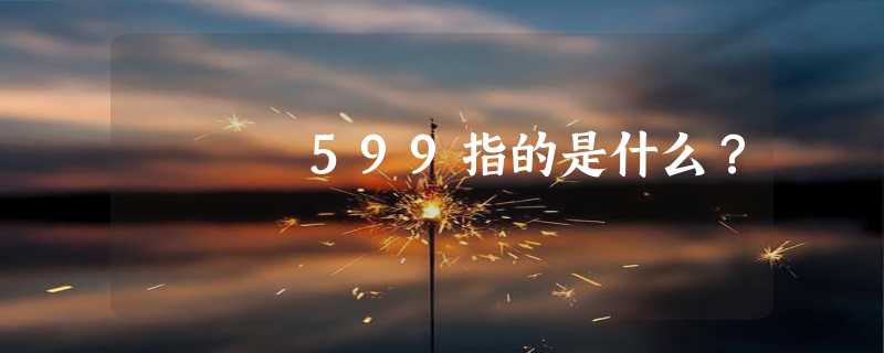 599指的是什么？