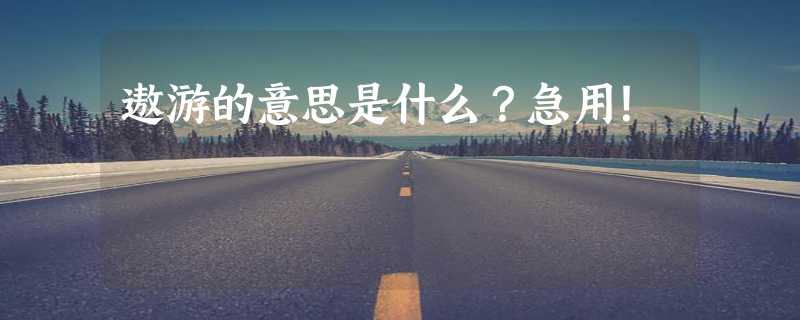 遨游的意思是什么？急用！