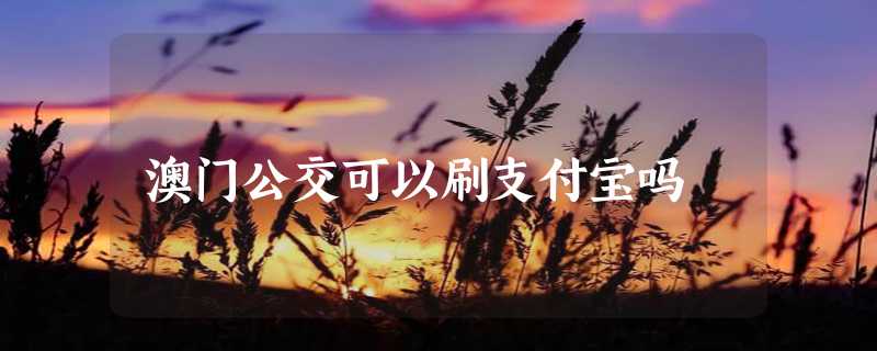 澳门公交可以刷支付宝吗