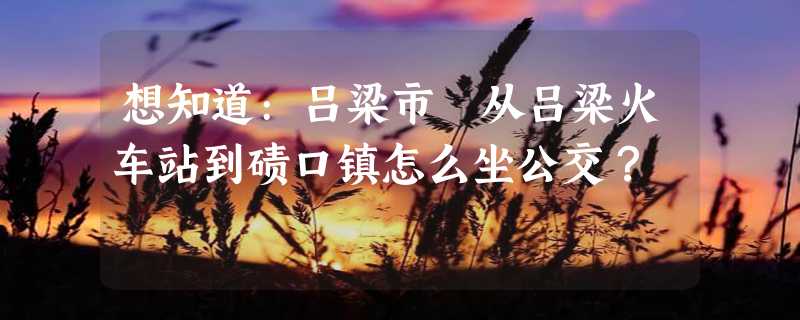 想知道:吕梁市 从吕梁火车站到碛口镇怎么坐公交？