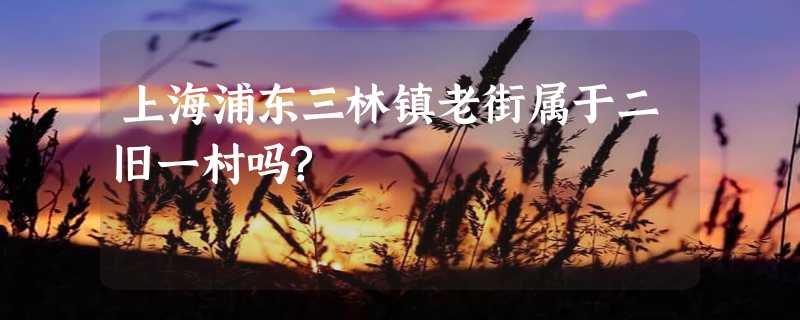 上海浦东三林镇老街属于二旧一村吗?